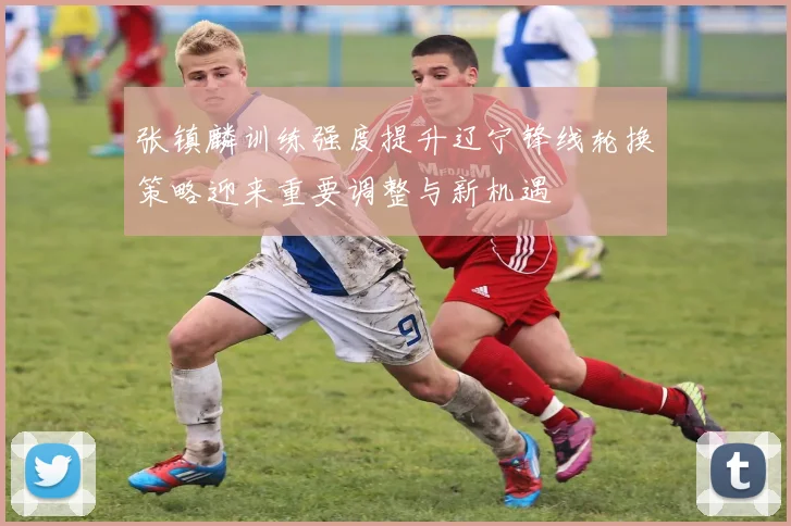 张镇麟训练强度提升辽宁锋线轮换策略迎来重要调整与新机遇
