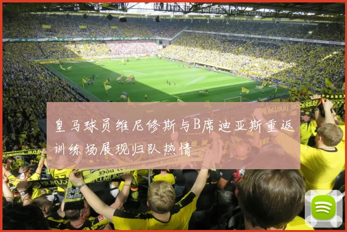 皇马球员维尼修斯与B席迪亚斯重返训练场展现归队热情